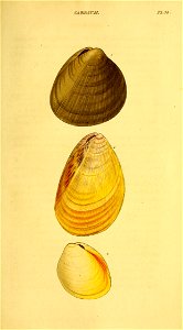 n416_w1150