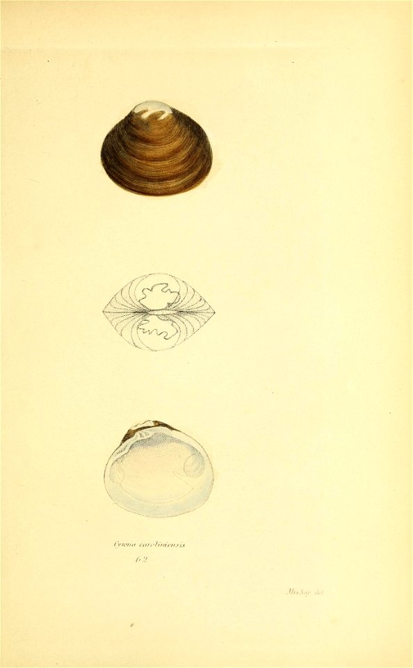 n392_w1150