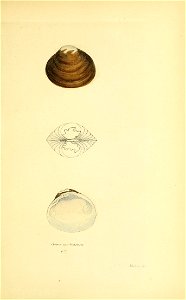 n392_w1150