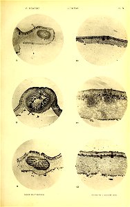 n478_w1150