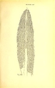 n212_w1150