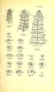 n174_w1150
