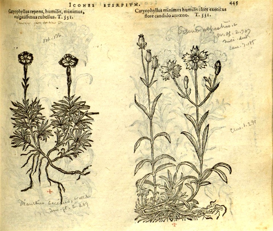 n451_w1150