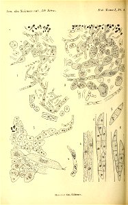 n155_w1150