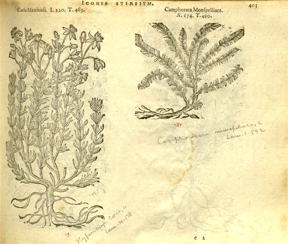 n409_w1150