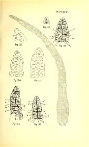 n172_w1150