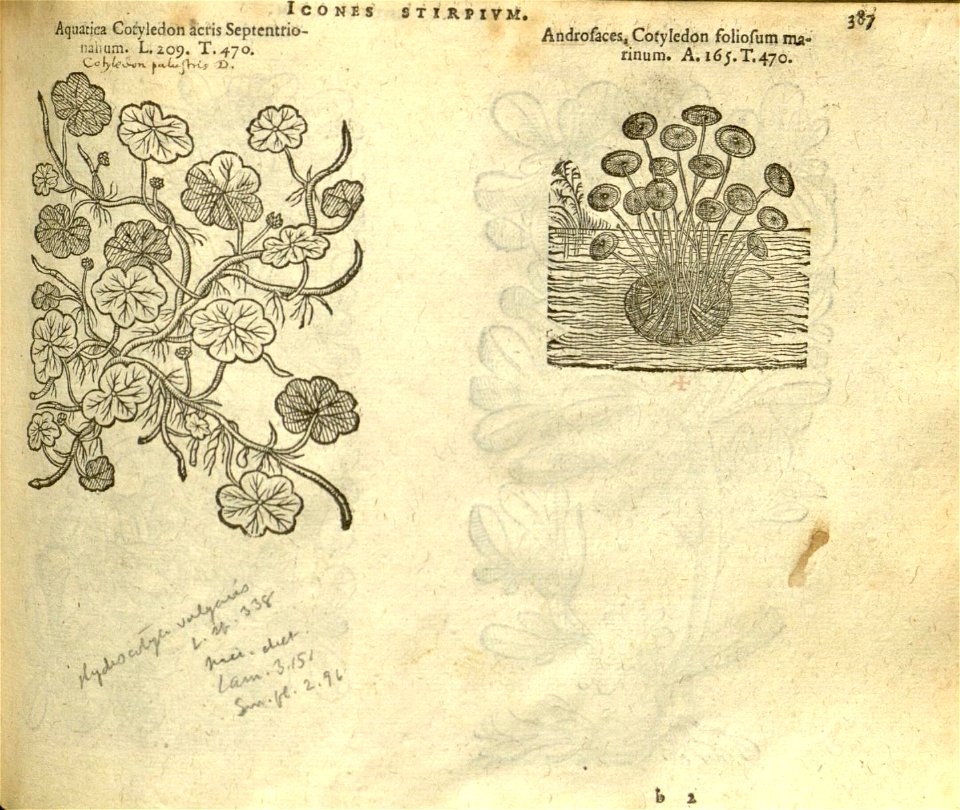 n393_w1150