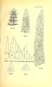 n170_w1150