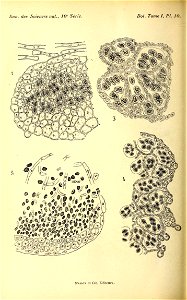 n161_w1150
