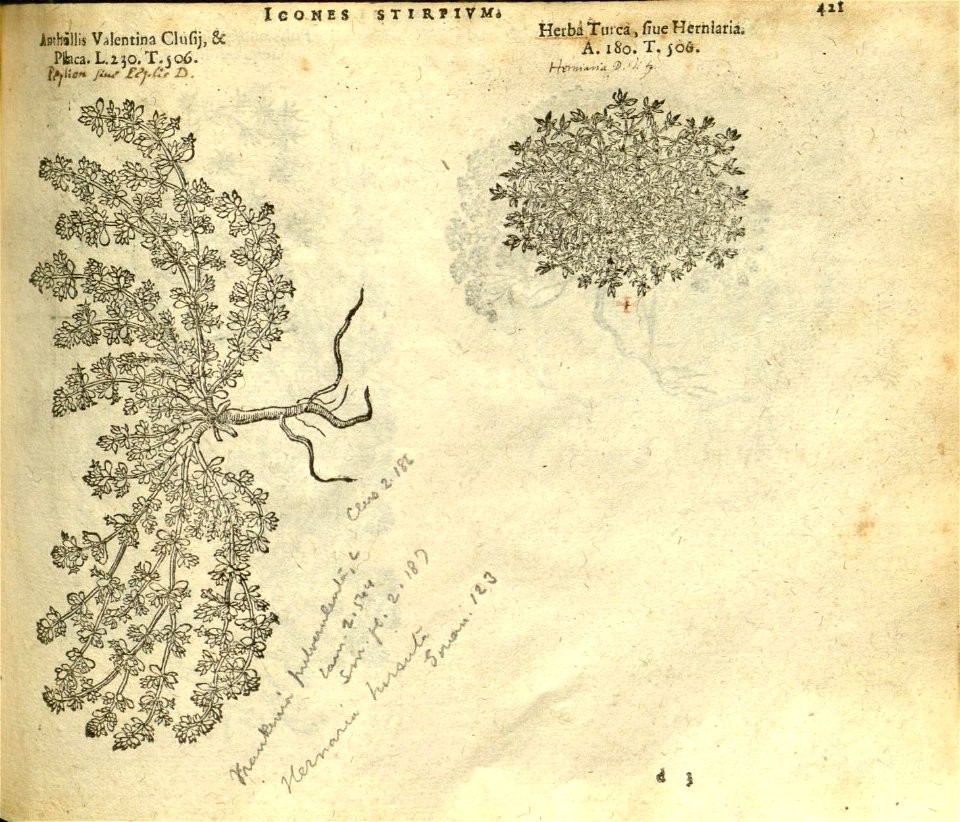 n427_w1150