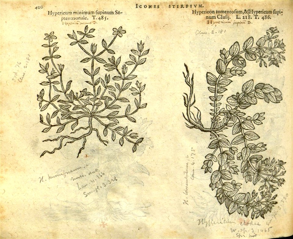 n406_w1150