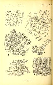 n153_w1150