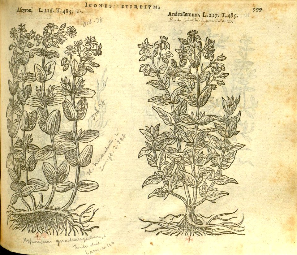 n405_w1150