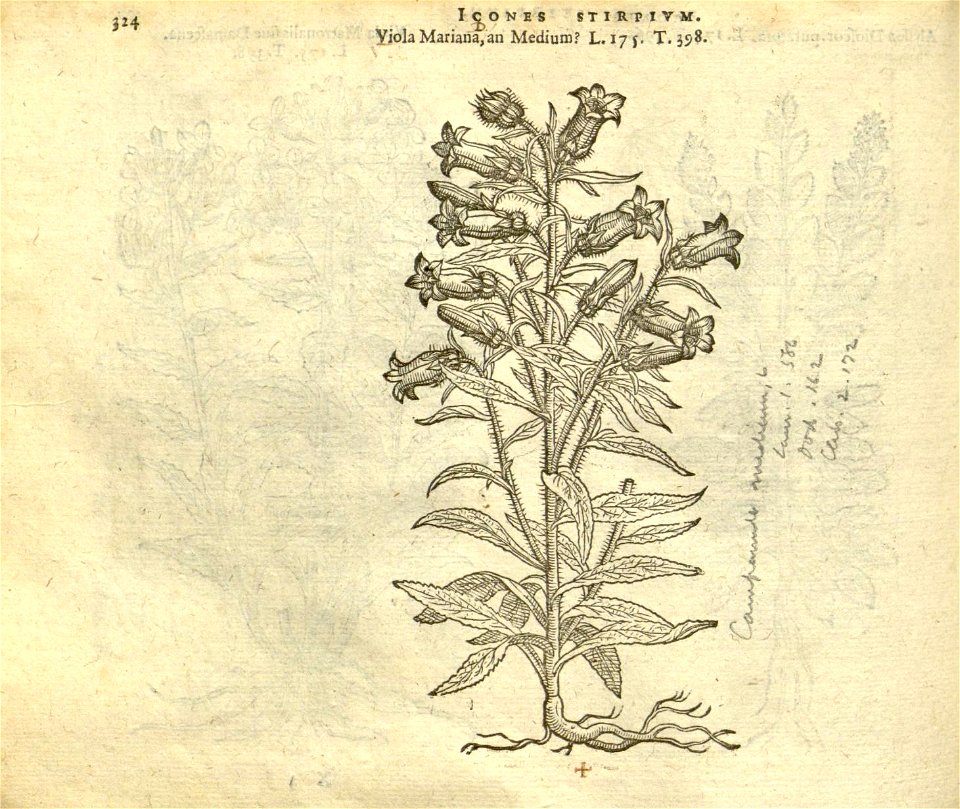n330_w1150