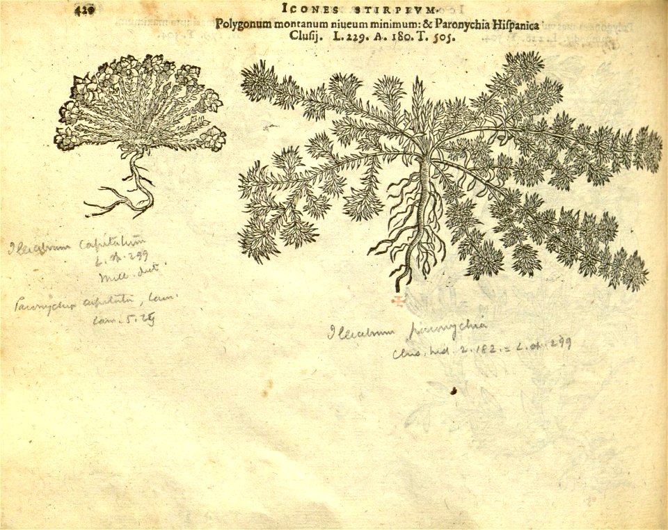 n426_w1150
