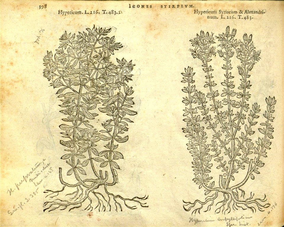 n404_w1150