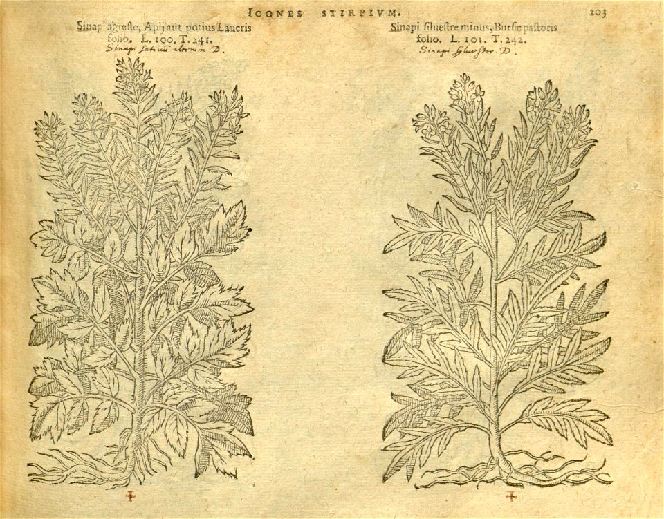 n209_w1150