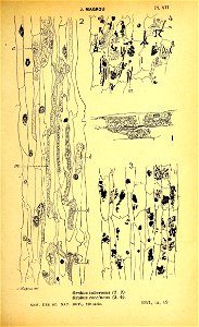 n384_w1150
