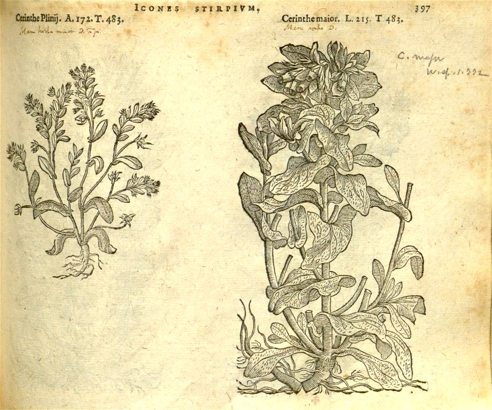 n403_w1150