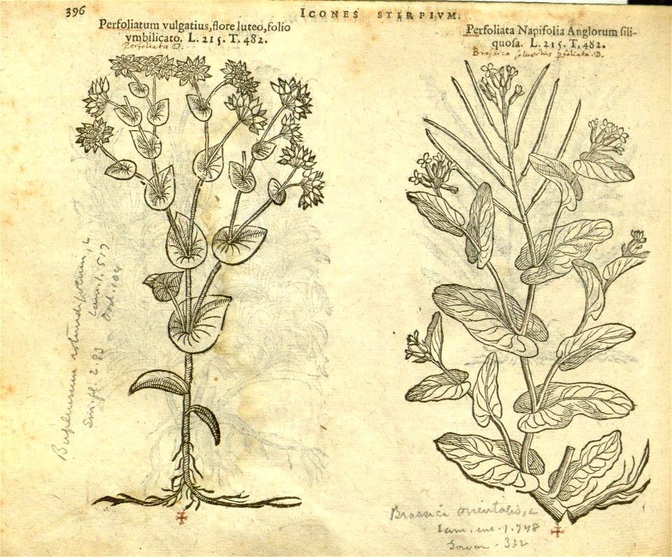 n402_w1150