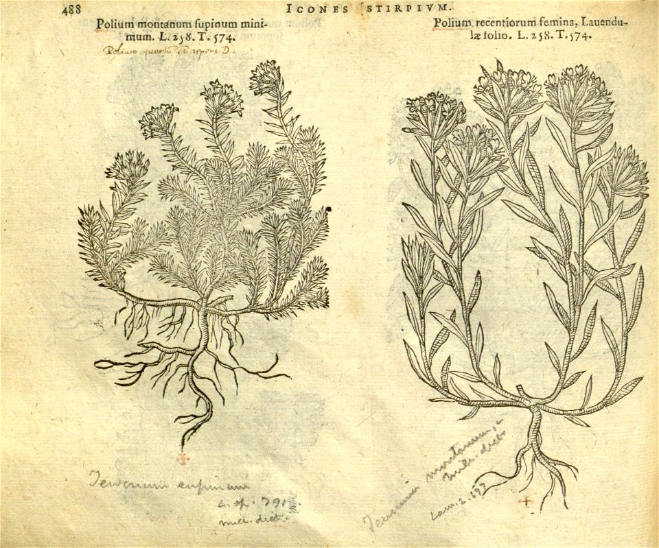 n494_w1150