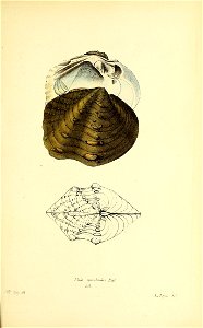 n374_w1150