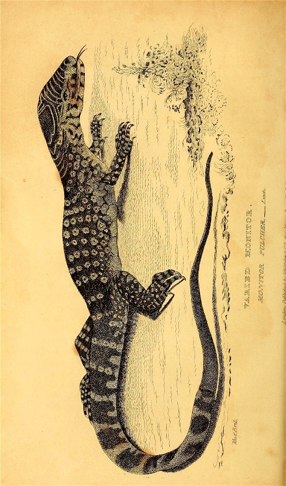 n281_w1150