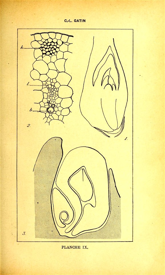 n274_w1150