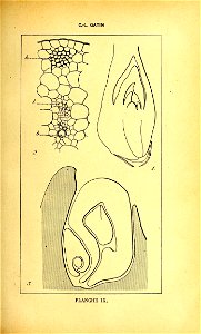 n274_w1150