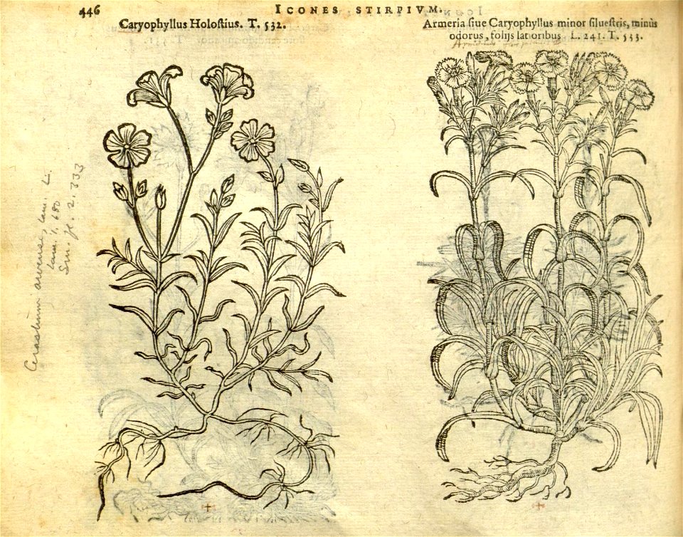 n452_w1150