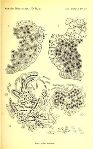 n162_w1150