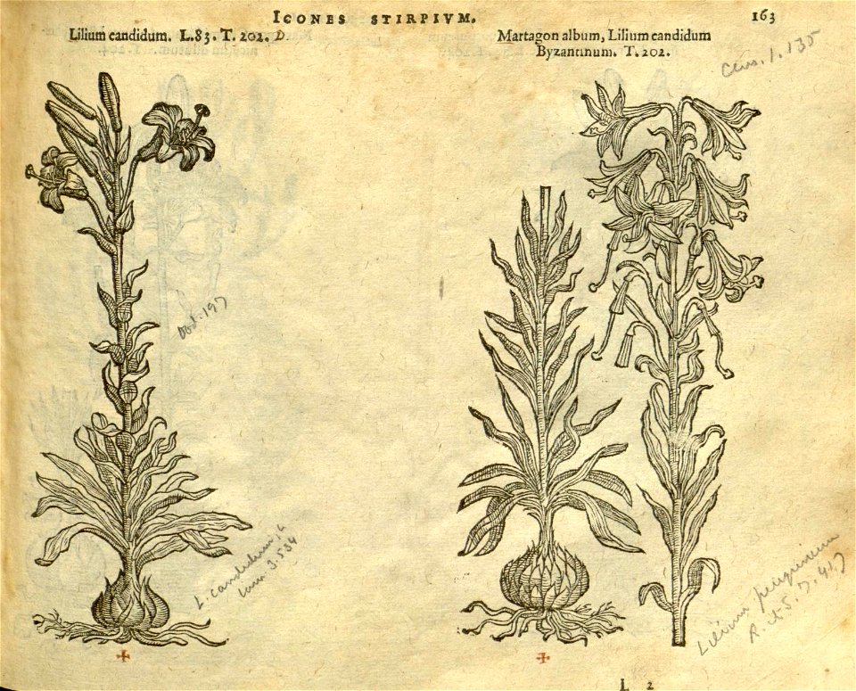 n169_w1150
