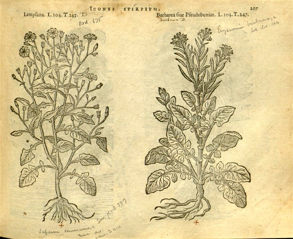 n213_w1150