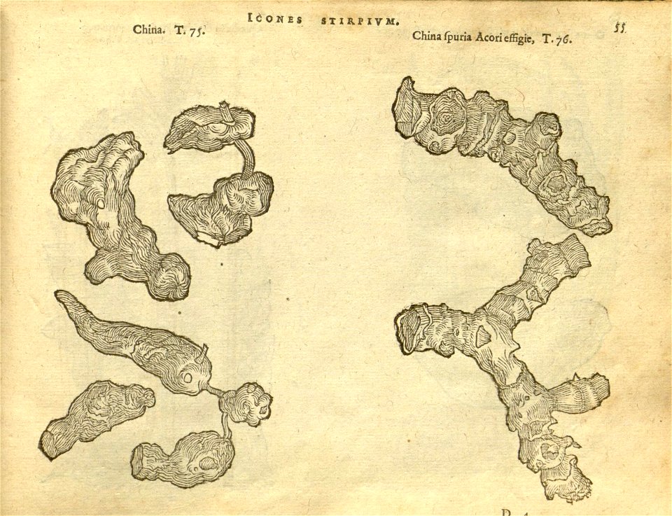 n61_w1150