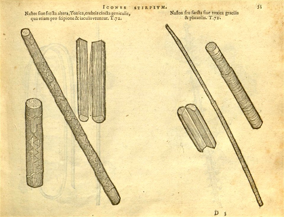 n59_w1150