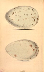 n33_w1150