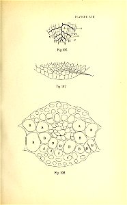 n196_w1150