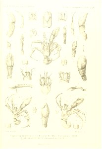 n458_w1150