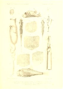 n446_w1150