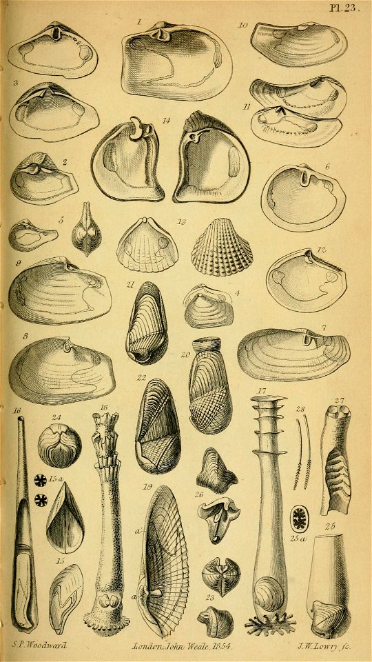 n574_w1150