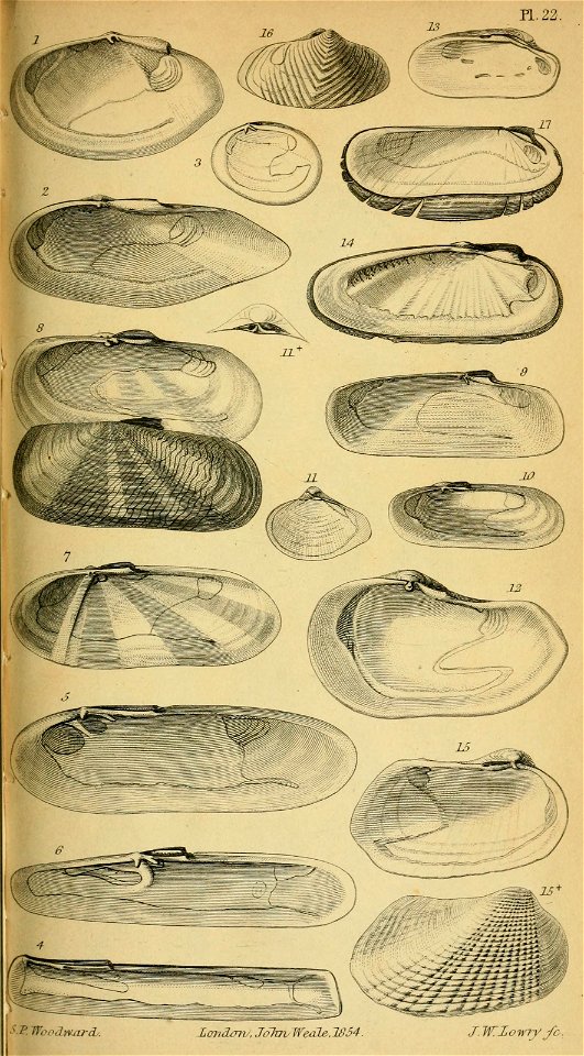 n572_w1150