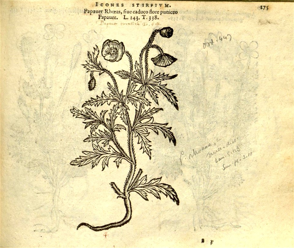 n281_w1150