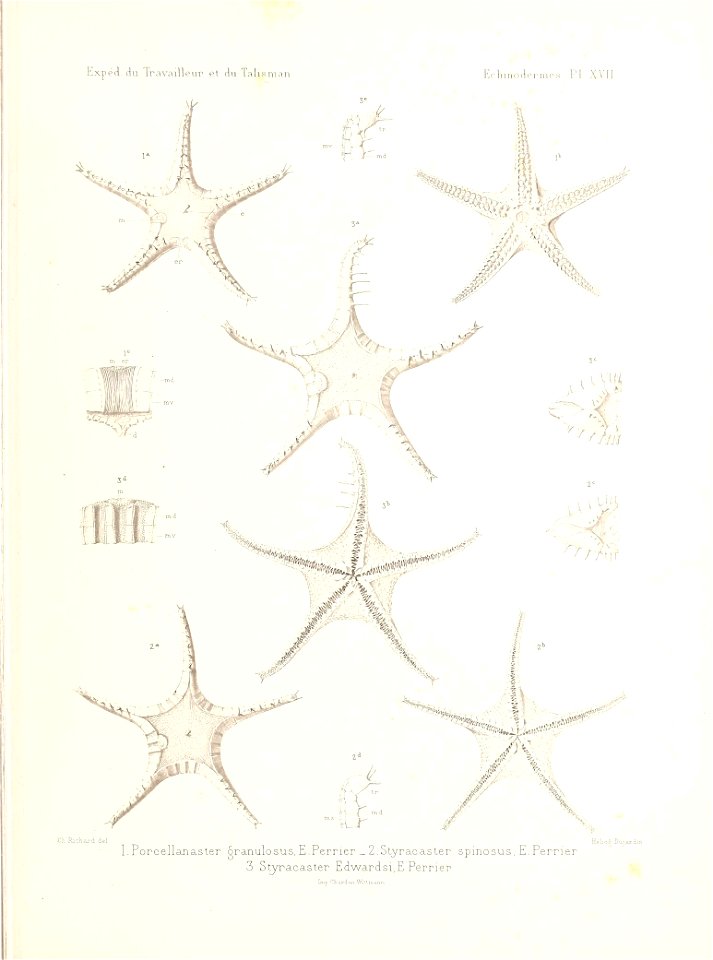 n476_w1150