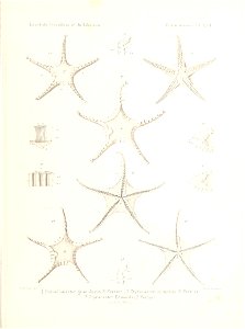 n476_w1150