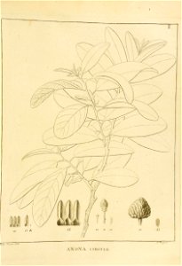 n172_w1150