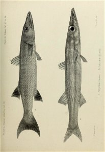 n178_w1150