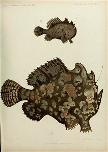 n94_w1150
