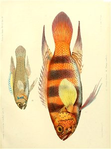 n256_w1150