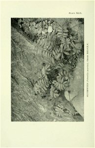 n357_w1150