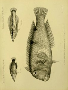 n150_w1150